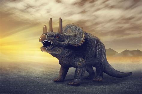 Wie Sou In N Geveg Wen Tyrannosaurus Rex Of Triceratops
