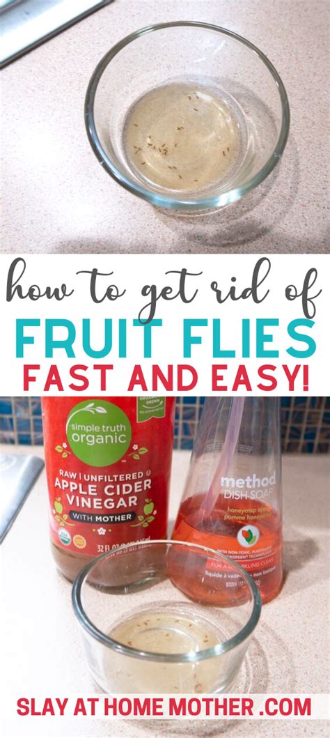 With Just Two Ingredients You Can Easily Get Rid Of Those Pesky Fruit