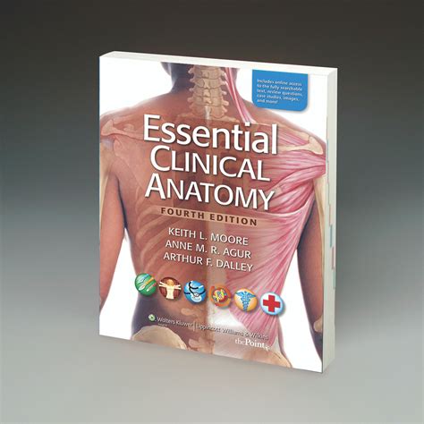 Book Essential Clinical Anatomy