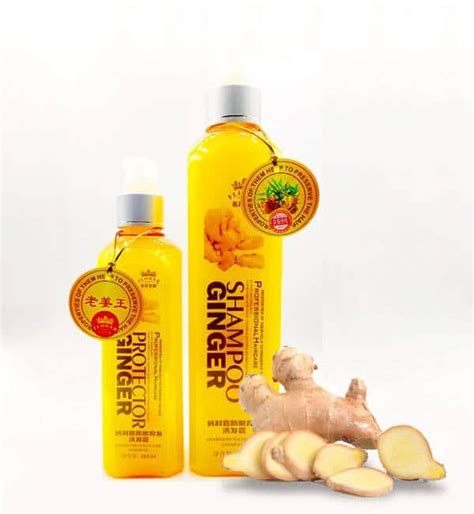 protector ginger shampoo price in bangladesh 1 shampoo
