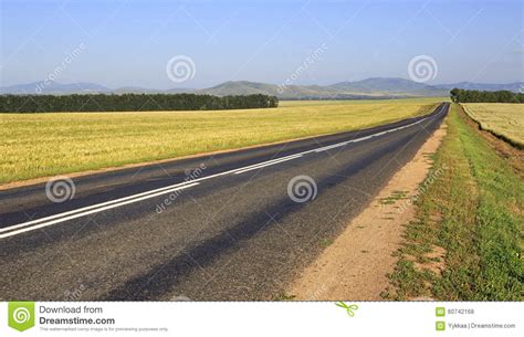 Beautiful Road Among Farm Fields Stock Photo Image Of
