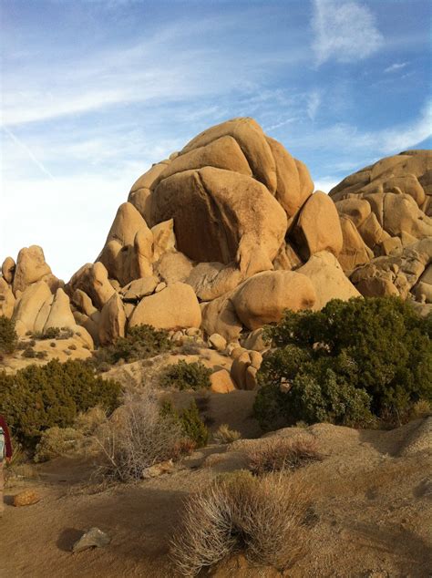 All This Is That At Skull Rock In Joshua Tree National Park