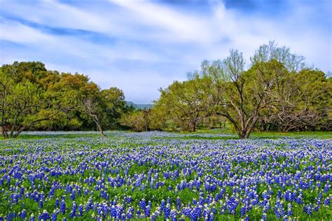 texas hill country   nomadic pursuits hdr travel photography blog  jim nix