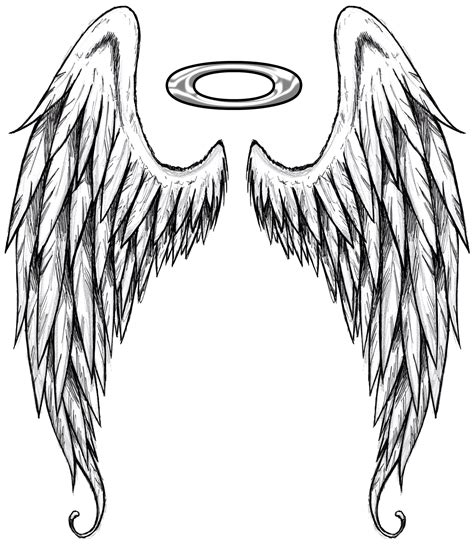 Angel Wings Png Angel Wings Drawing Angel Wings Tattoo Wing Tattoo