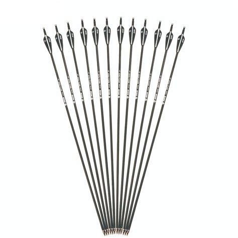 Item Type Arrows Shaft Material Carbon Point Material Steel Feather