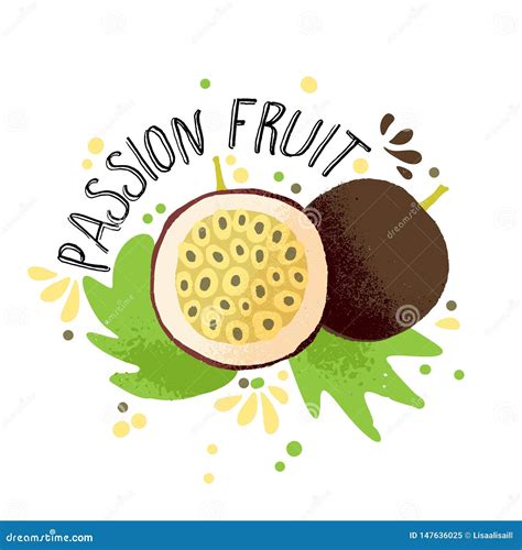 Vector Hand Draw Colored Passion Fruit Illustration Brown Yellow Passion Fruit With Pulp