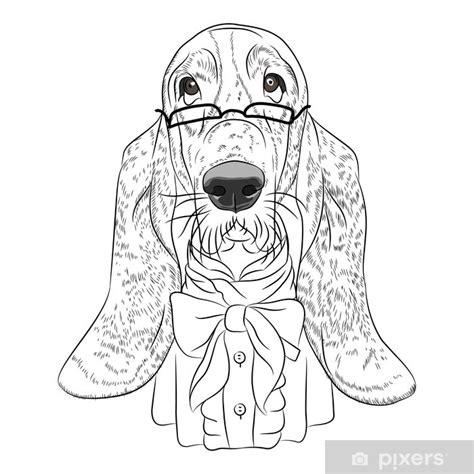Check spelling or type a new query. Mandala Dieren Hond - Golden Retriever Hond Mandala Svg ...