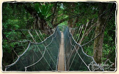 Kinabalu Park Poring Hot Springs Travelogue Amazing Borneo Tours