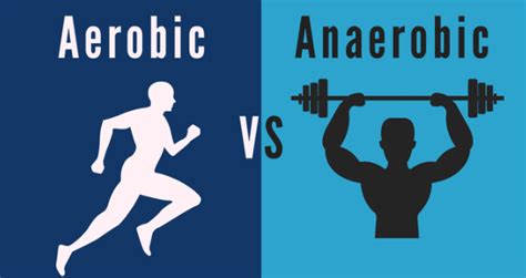 Aerobic Vs Anaerobic Exercise Thornton Co Gym Afac Gym