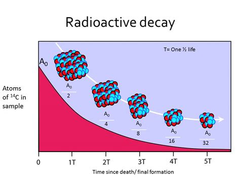 Radiometric Dating Half Life Definition Telegraph