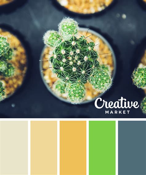 15 Fresh Color Palettes For Spring Creative Market Blog
