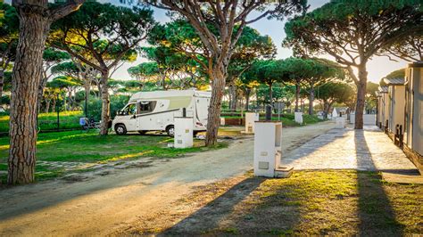 Camping Pinar San José +Photos — Camperguru