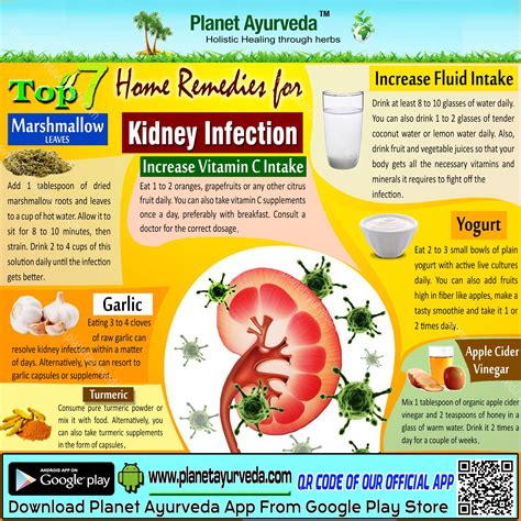 Top 7 Home Remedies For Kidney Infection Increasevitamin