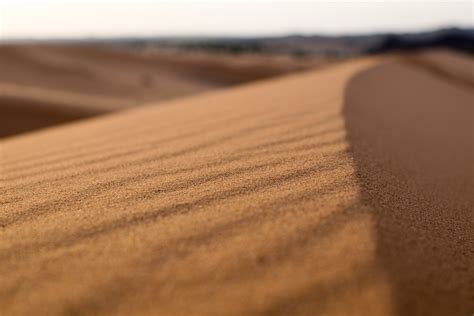 Free Images Landscape Sand Wood Desert Dune Soil Material