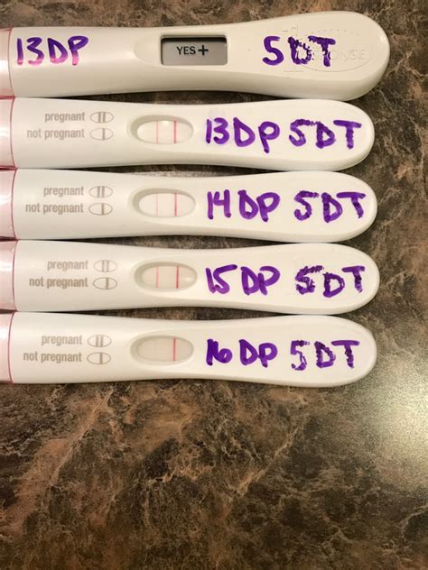 How Soon Can I Take A Pregnancy Test After 5 Day Ivf Transfer Pregnancy Test