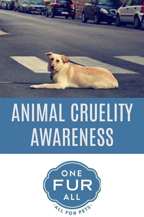 Prevention Of Cruelty To Animals Month Animals Pets Cats Pet Smell
