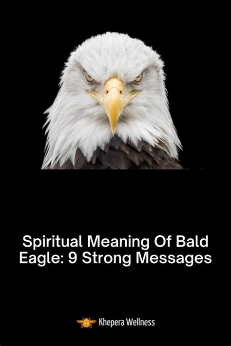 Spiritual Meaning Of Bald Eagle 9 Strong Messages