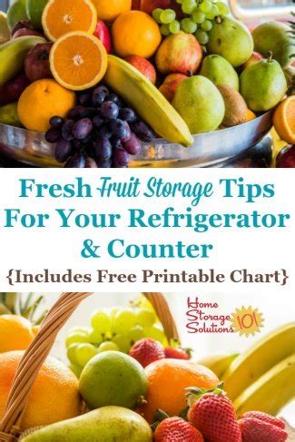 Fresh Fruit Storage Tips For Your Refrigerator Counter Includes Free