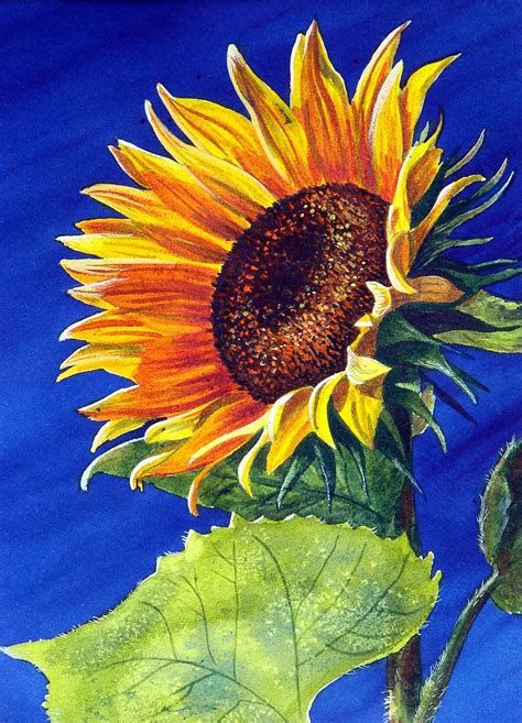 Sunflower Watercolor Painting Watercolor Sunflower Sunflower Painting