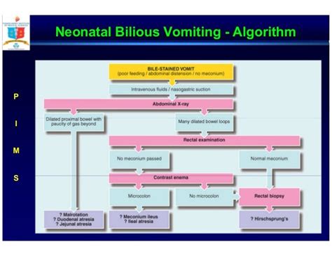 Neonatal Biliary Emesis A Problem Based Approach