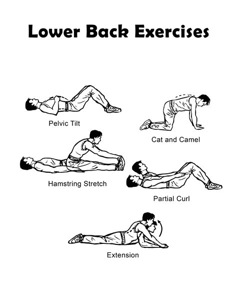 Lower Back Exercises Fitness Lifestyle Fitness