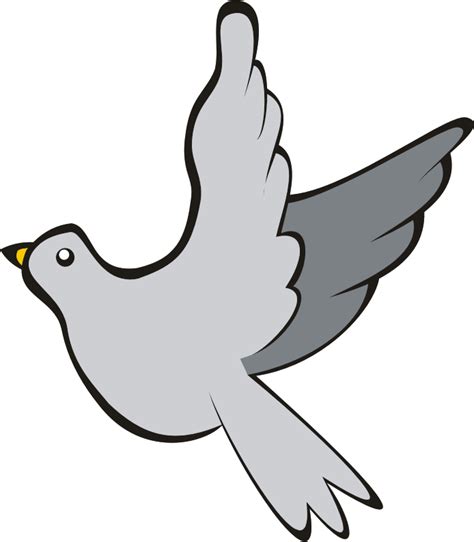 Columbidae Pigeon Transparent Png Png Mart