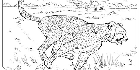 Collection 85+ best coloring pages of animals , 100% free printables