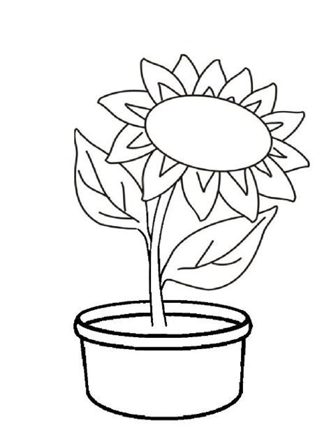 Paling Bagus 24 Sketsa Bunga Di Pot Gambar Bunga Indah