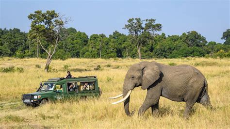 Sky Safari East Africa Tailor Made Hayes And Jarvis Holidays