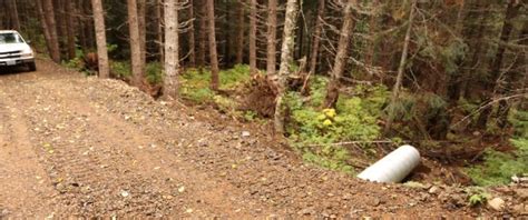 Forest Roads Culverts And Tank Traps Nisqually Land Trust