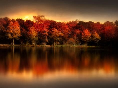 An Autumn Evening Taken At Allestree Park In Derbyshire Uk Autumn