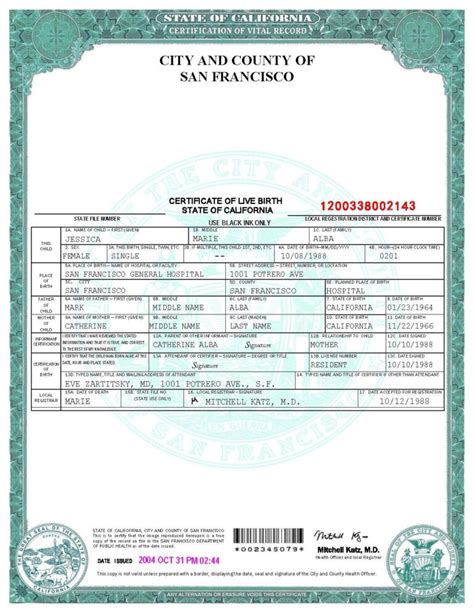 Fake Birth Certificate Template Professional Template Ideas In New Fake My Xxx Hot Girl