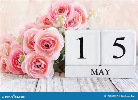 May 15th Calendar Blocks With Pink Ranunculus Stock Image Image Of