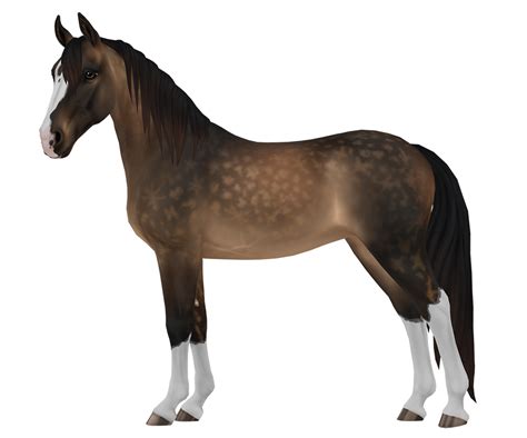 Tennessee Walker Horse Breed Of Jorvik Star Stable