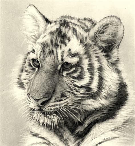 40 Excellent Examples Of Pencil Drawing Entertainmentmesh