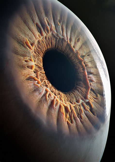 Realistic Eye By Filimonov Realistic 3d Cgsociety Realistic Eye