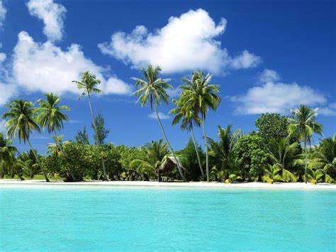 Tropical Island Backgrounds Wallpaper Cave