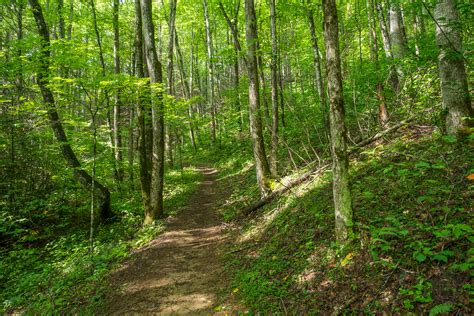 Meanderthals | Bradley Fork and Smokemont Loop Trails, Great Smoky ...