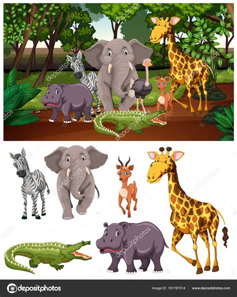 Wild Animals In The Forest Stock Vector By ©blueringmedia 181787014