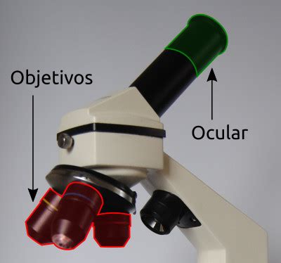 Sistema Óptico del Microscopio Partes y Funciones