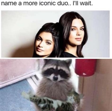 21 Raccoon Memes That Will Steal Your Weekend Gallery Ebaums World