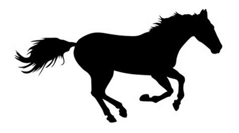 Download High Quality Horse Clipart Black And White