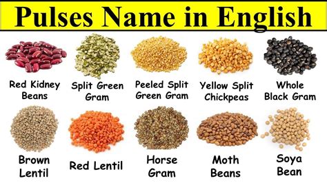 Pulses Name In English And Urdu With Pictures Dalo K Name In English