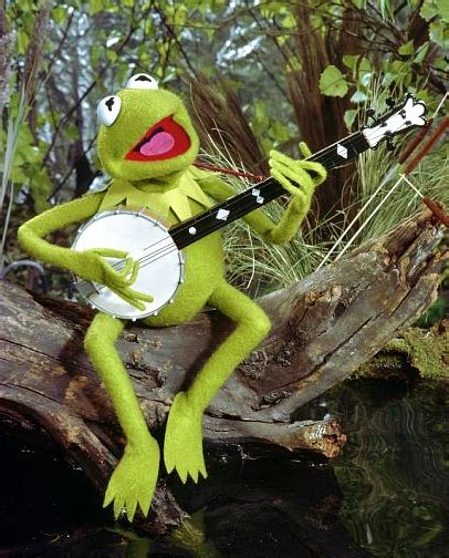 Kermit The Frog Fictional Musicians Wikia Fandom