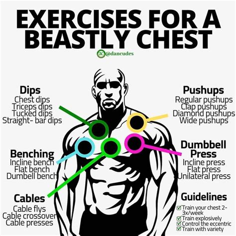What Muscle Group Is Best To Work With Chest