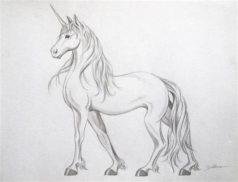 fantasy wie man pferde zeichnet einhorn zeichnung pferdezeichnungen