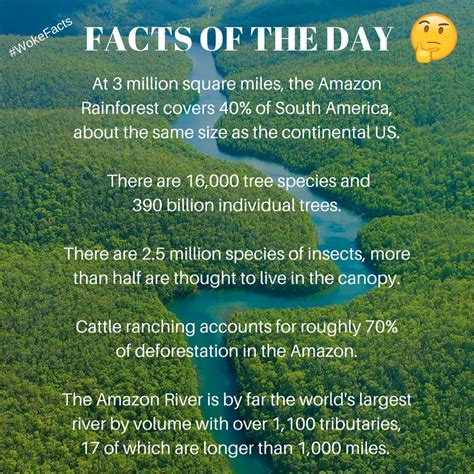 Woke Facts On Twitter Facts Of The Day Amazon Rainforest 16000