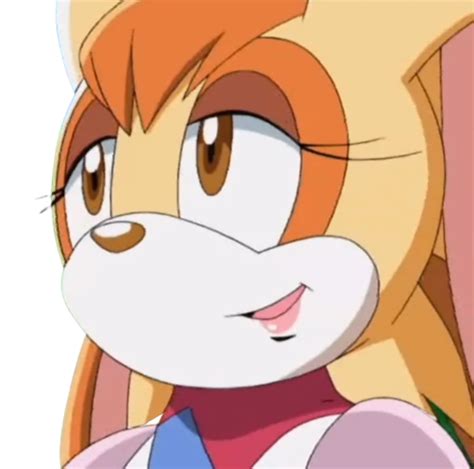 Vanilla The Rabbit Sonic X Png 4 By Kuromiandchespin400 On Deviantart
