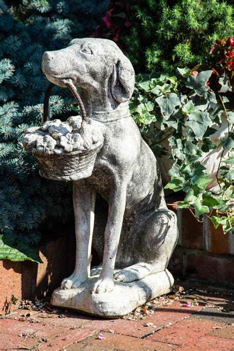Noble Dog Garden Statue Holding Basket Stock Photo Image Of Pavers