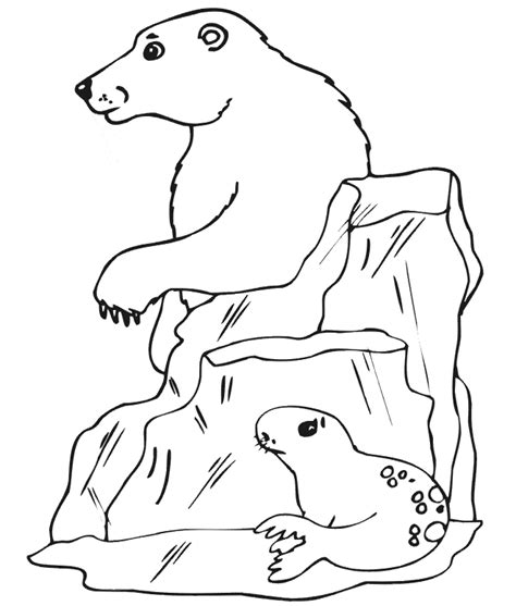 Polar Bear Coloring Page Animals Town Animal Color Sheets Polar